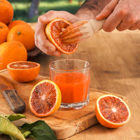 Arancia Sanguinello