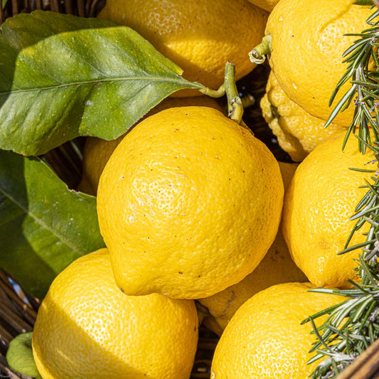 Limone Femminello Siracusano