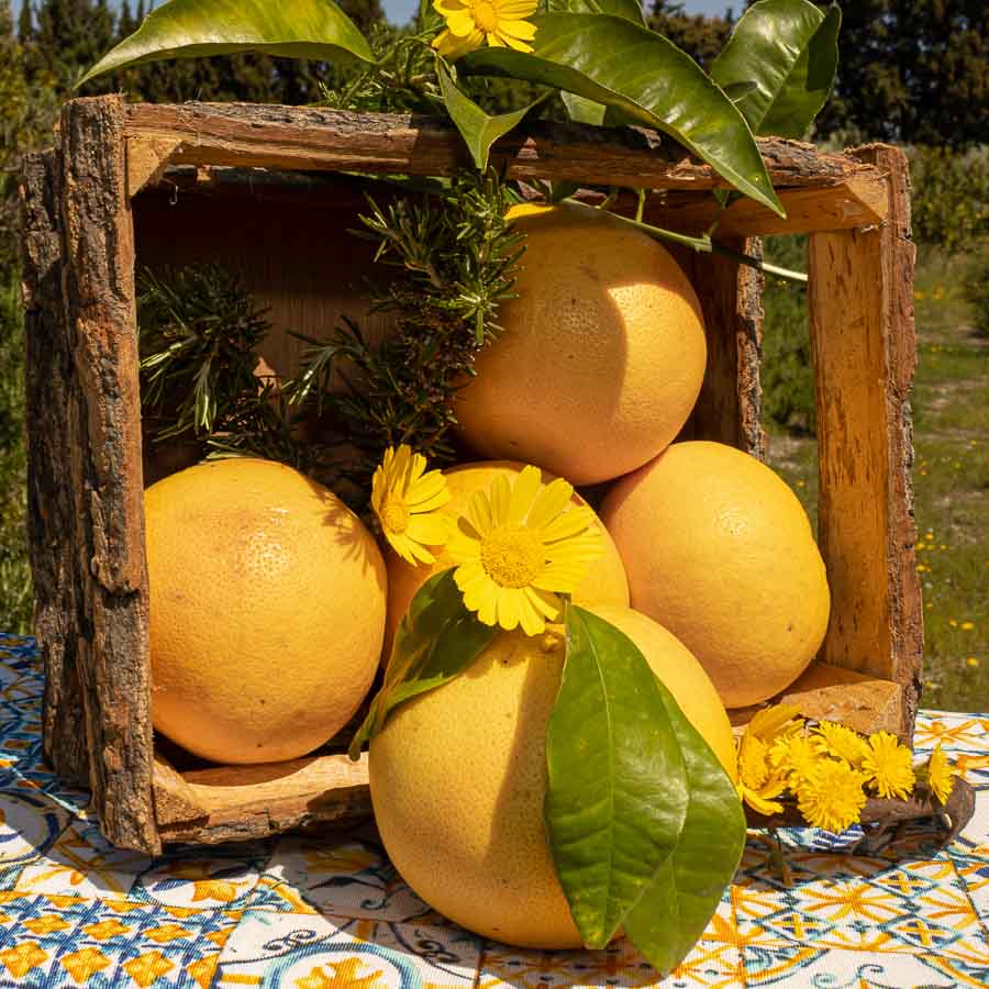 Pompelmo Rosso Star Ruby