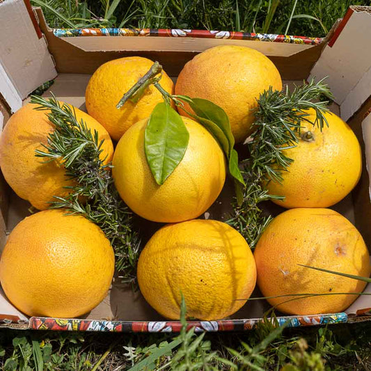 Pompelmo Rosso Star Ruby