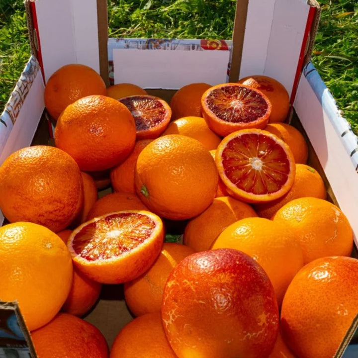 arancia moro di sicilia 100% biologica
