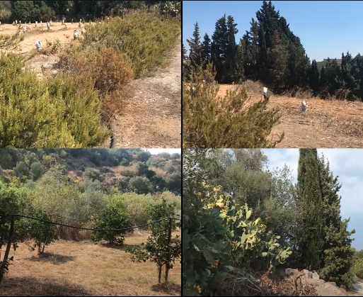 la musica della natura