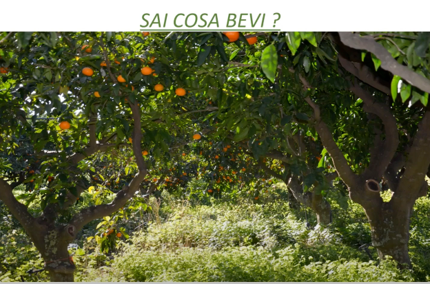 Sai cosa bevi?