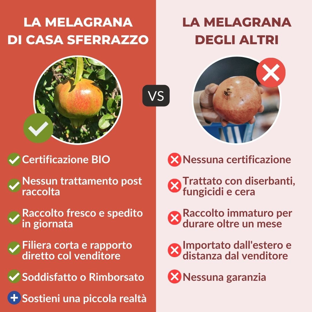Melagrana Dolcissima dell’Etna