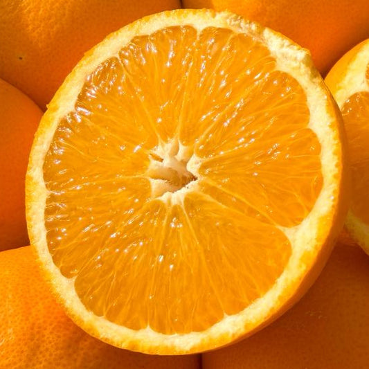 Arancia Tarocco Biondo