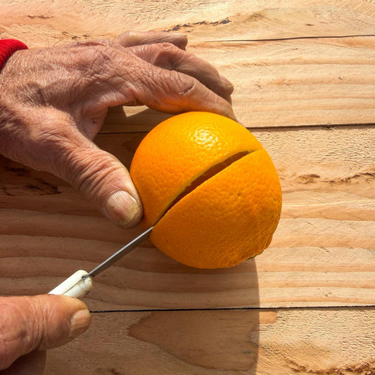 Arancia Tarocco Biondo