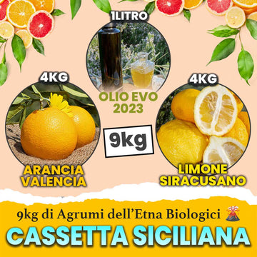 Cassetta Sicily Experience