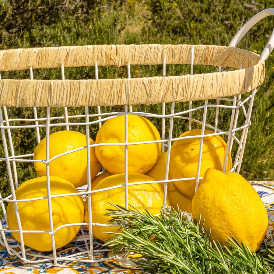 Limone Femminello Siracusano