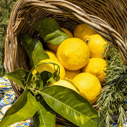Limone Femminello Siracusano
