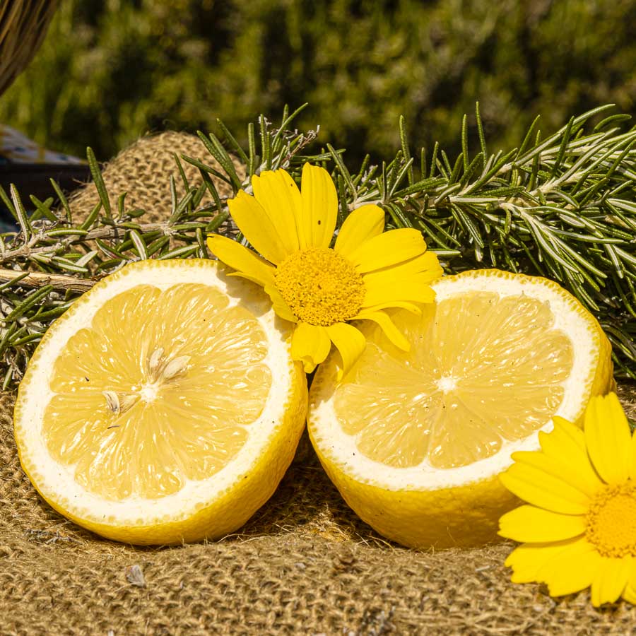 Limone Femminello Siracusano