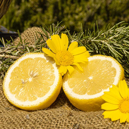 Limone Femminello Siracusano