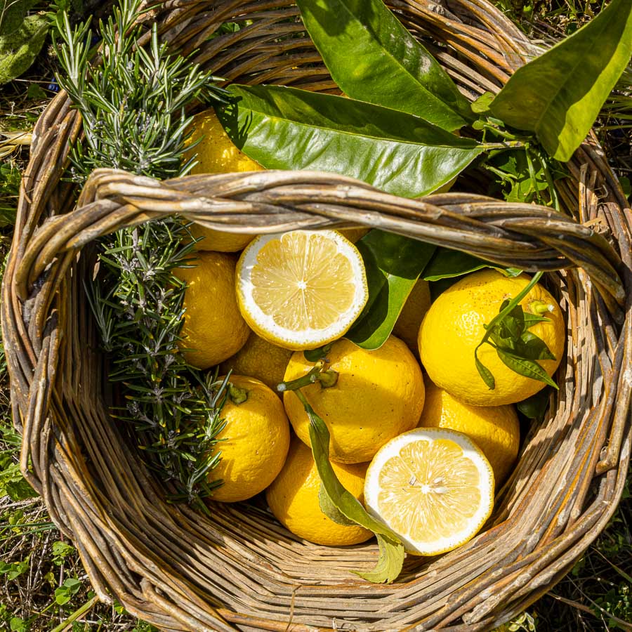 Limone Femminello Siracusano