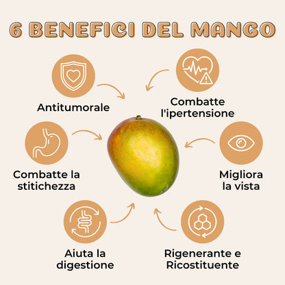 Mango Kensington Pride