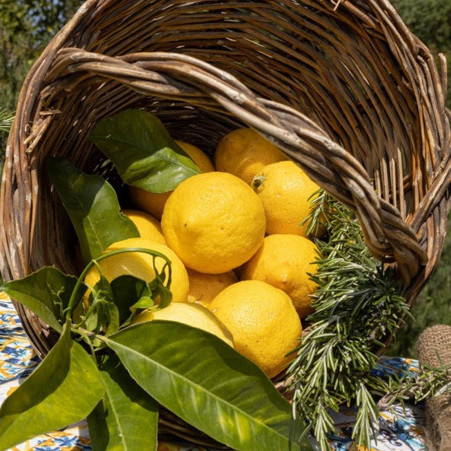 Limone Femminello Siracusano