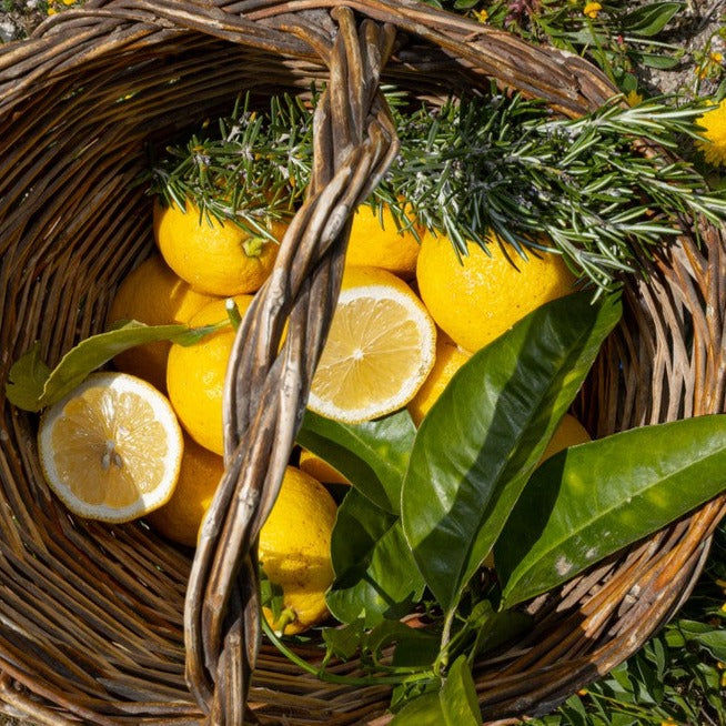 Limone Femminello Siracusano